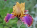 0511