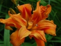0702