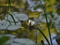 0703