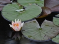 0807