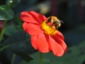 0904