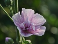 0909