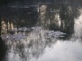 12 Décembre